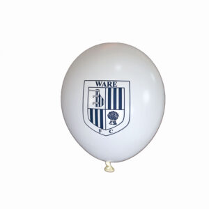 Balloons 10 Pack