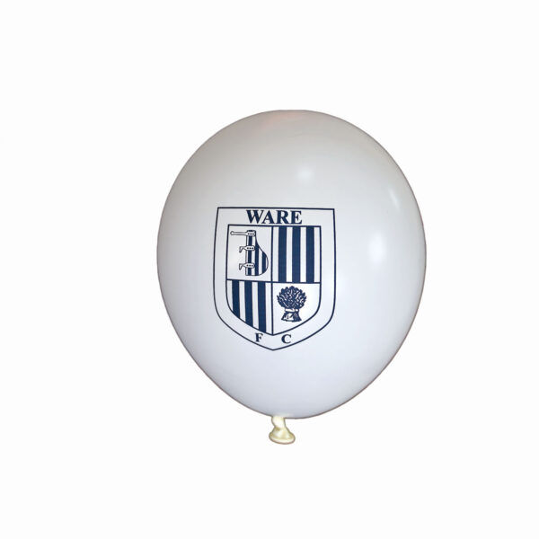 Balloons 10 Pack